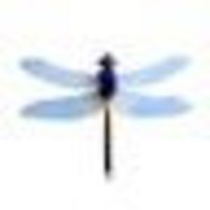 Meet your Posher, Ml